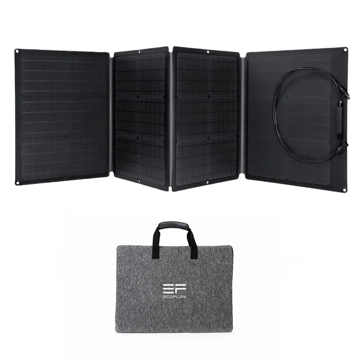Panel solar portátil EcoFlow 110W